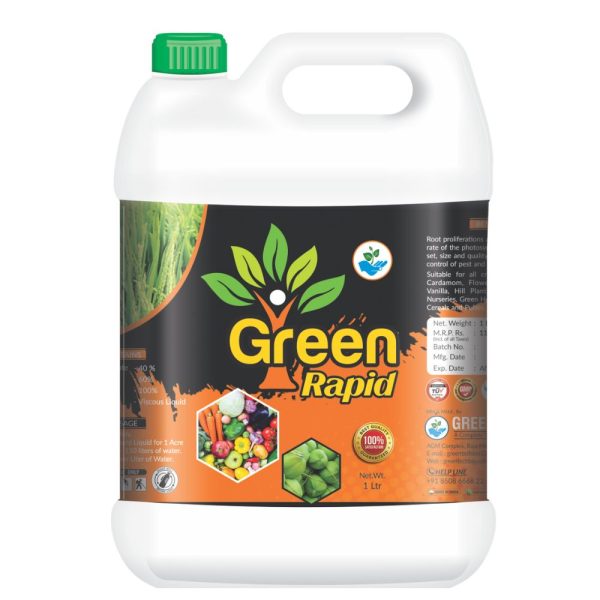 Green Rapid
